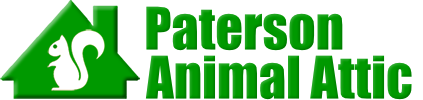 Paterson Animal Attic